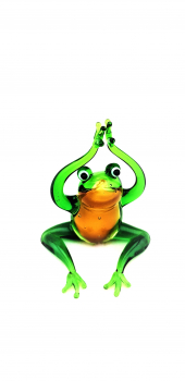 Yoga Frosch